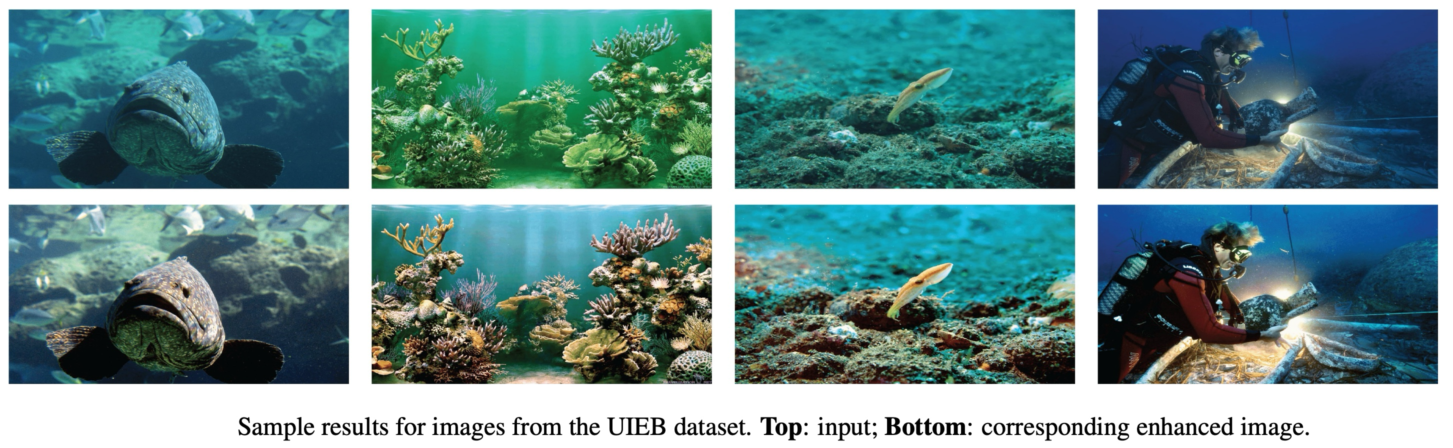 Sample PhISH-Net enhancement results from UIEB dataset
