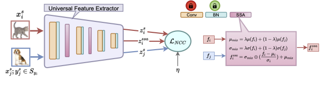 SSA-BNS framework